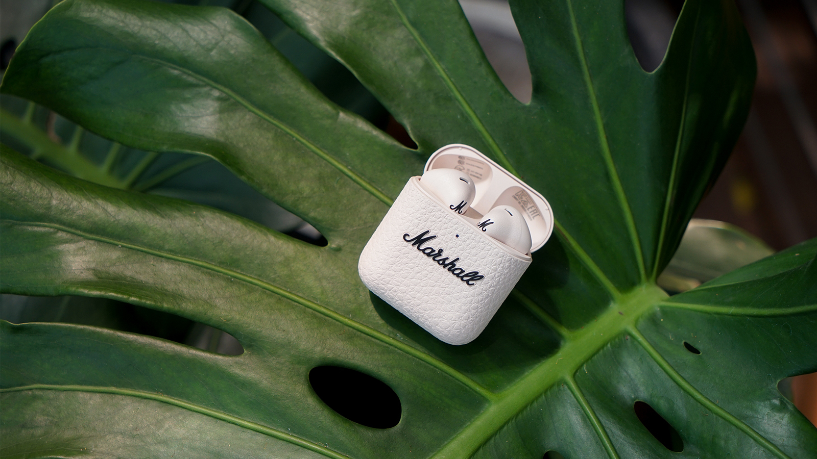 【新品に近い】Marshall Minor Ⅳ CREAM Marshall Minor IV Cream｜新品通販フジヤエービック